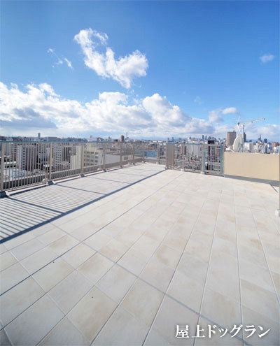 プルクラ今池のドッグラン屋上